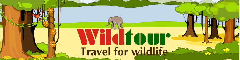 Wildlife Tours & Research