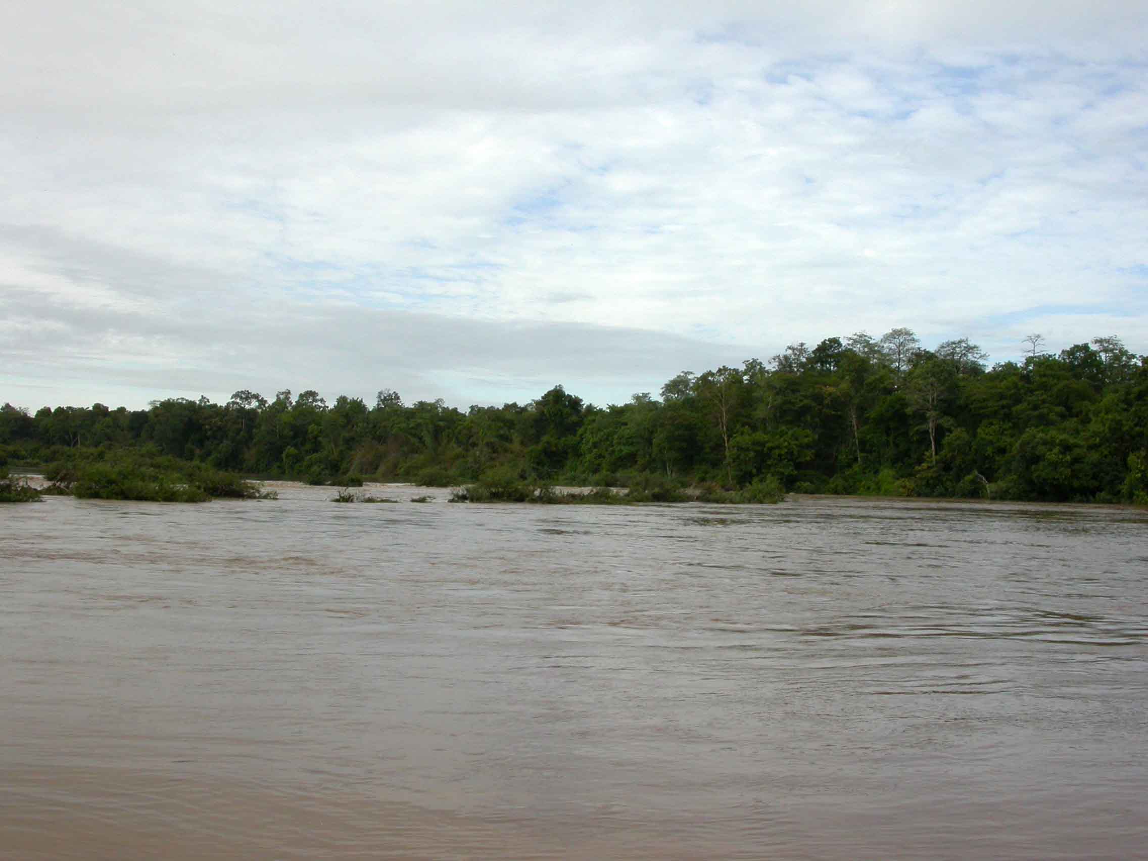 bird-habitats-and-communities-in-vietnam