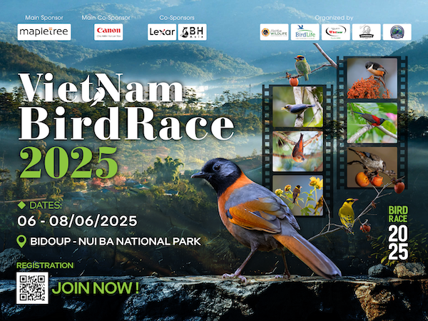 2nd-vietnam-birdrace-thong-bao-tu-ban-to-chuc