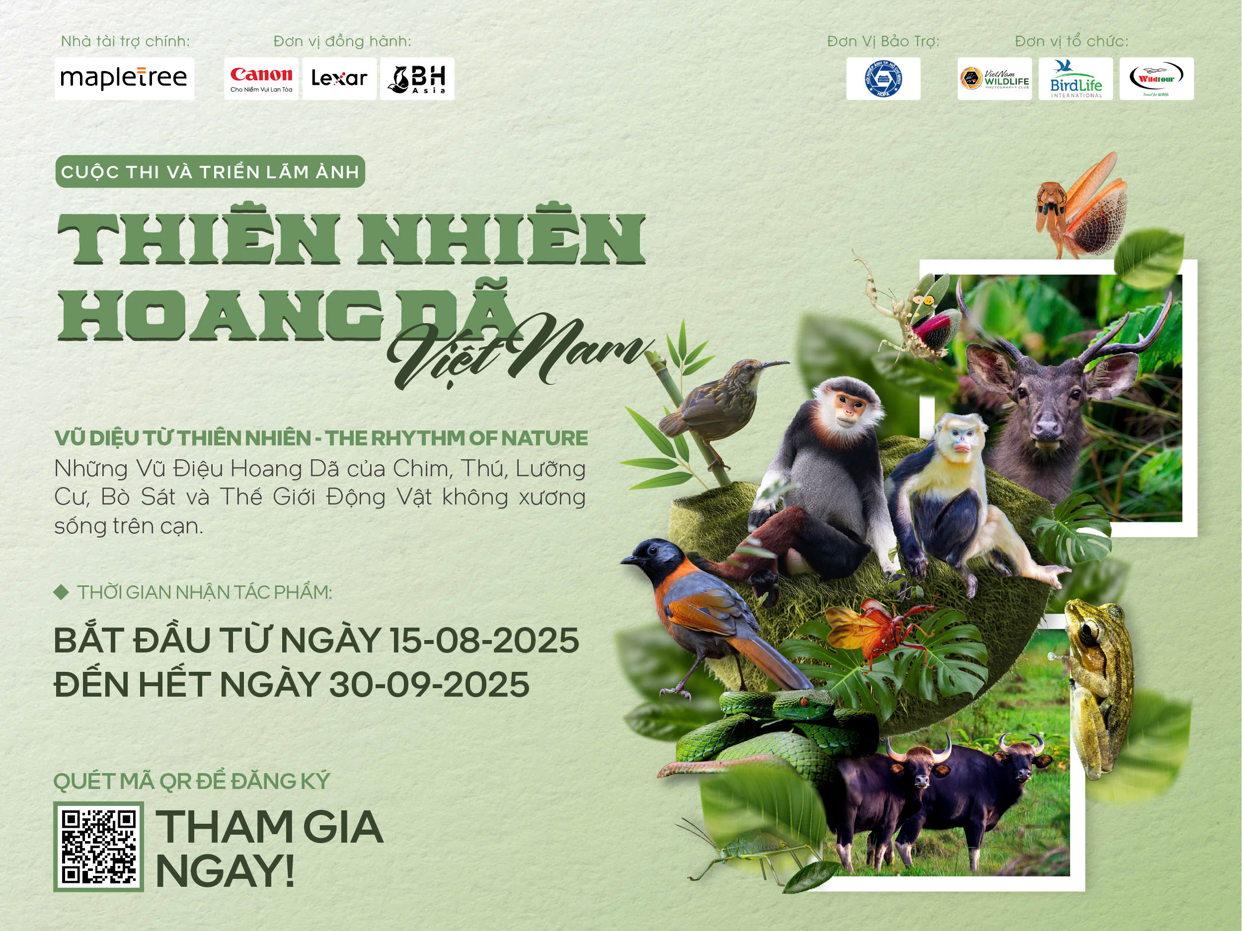 vietnam-wildlife-photography-contest-the-rhythm-of-nature